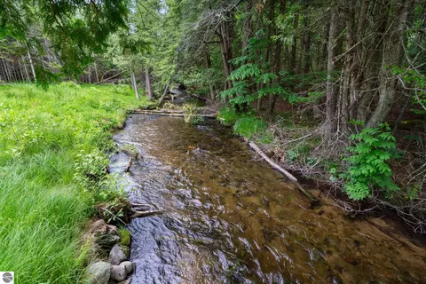 View/Area - 1133 W Thumb Lake Rd, Vanderbilt, MI 49795 photo 1 of 6