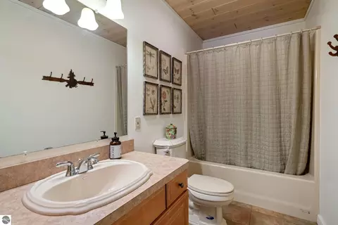 Bath - 1133 W Thumb Lake Rd, Vanderbilt, MI 49795 photo 2 of 2