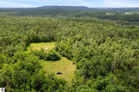 Other - 1133 W Thumb Lake Rd, Vanderbilt, MI 49795 photo 23 of 30