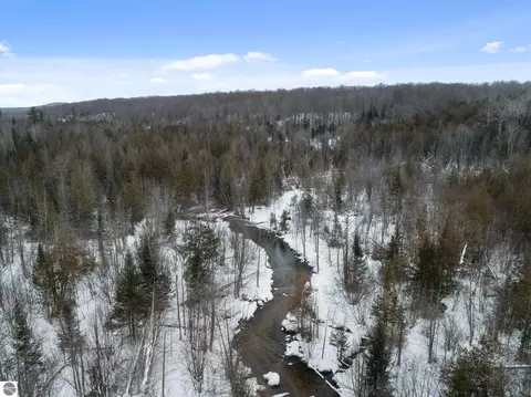 View/Area - 1133 W Thumb Lake Rd, Vanderbilt, MI 49795 photo 6 of 6