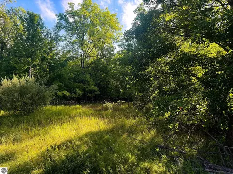 Parcel 1 E Darga Road, Cedar, MI 49621 photo 8