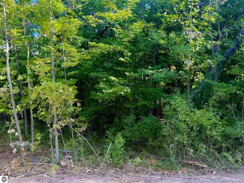 Parcel 1 E Darga Road, Cedar, MI 49621 photo 9