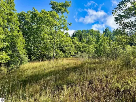 Parcel 1 E Darga Road, Cedar, MI 49621 photo 4