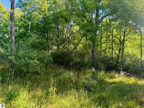 Parcel 1 E Darga Road, Cedar, MI 49621 photo 12