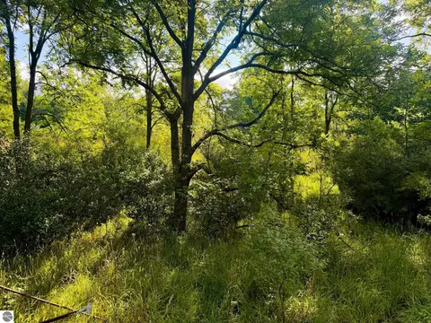 Parcel 1 E Darga Road, Cedar, MI 49621 photo 13