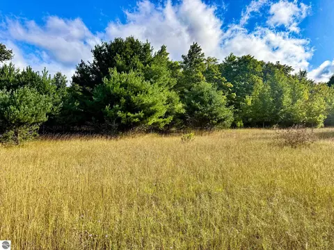 Parcel 1 E Darga Road, Cedar, MI 49621 photo 20