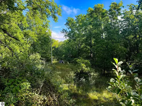 Parcel 1 E Darga Road, Cedar, MI 49621 photo 10