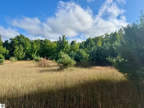 Parcel 1 E Darga Road, Cedar, MI 49621 photo 19