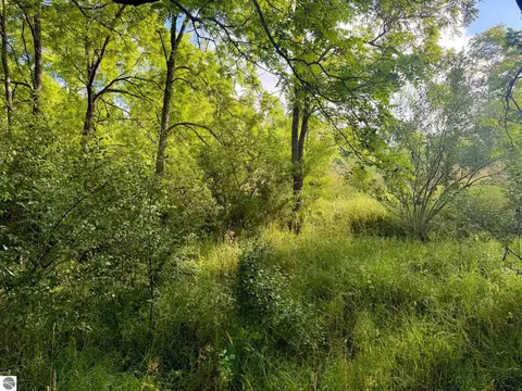 Parcel 1 E Darga Road, Cedar, MI 49621 photo 14