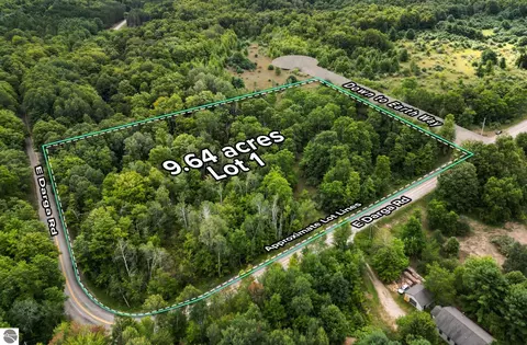 Parcel 1 E Darga Road, Cedar, MI 49621 photo 1