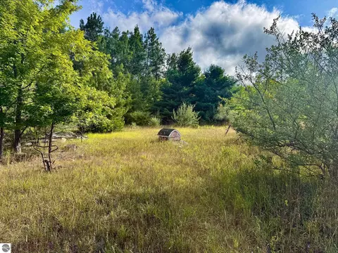 Parcel 1 E Darga Road, Cedar, MI 49621 photo 16