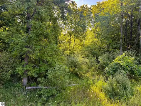Parcel 1 E Darga Road, Cedar, MI 49621 photo 7