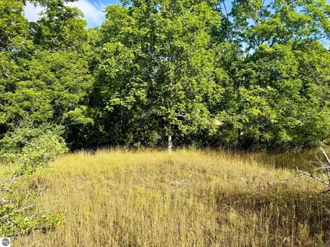 Parcel 1 E Darga Road, Cedar, MI 49621 photo 15