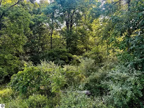 Parcel 1 E Darga Road, Cedar, MI 49621 photo 6