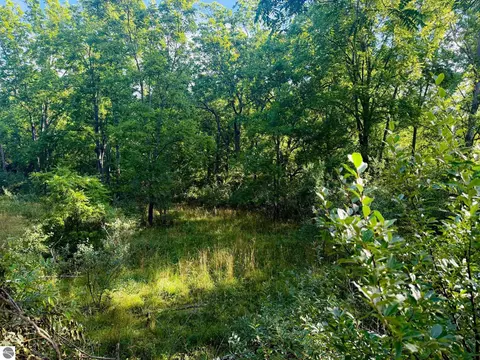Parcel 1 E Darga Road, Cedar, MI 49621 photo 11