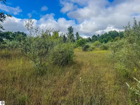 Parcel 4 E Darga Road, Cedar, MI 49621 photo 4