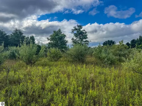 Parcel 4 E Darga Road, Cedar, MI 49621 photo 18