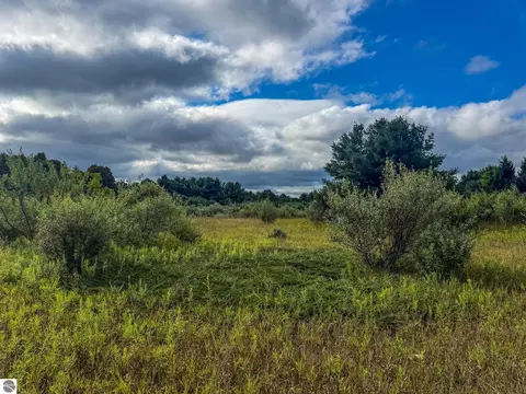 Parcel 4 E Darga Road, Cedar, MI 49621 photo 19