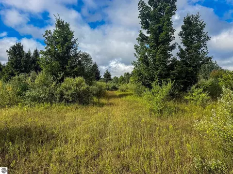 Parcel 4 E Darga Road, Cedar, MI 49621 photo 21
