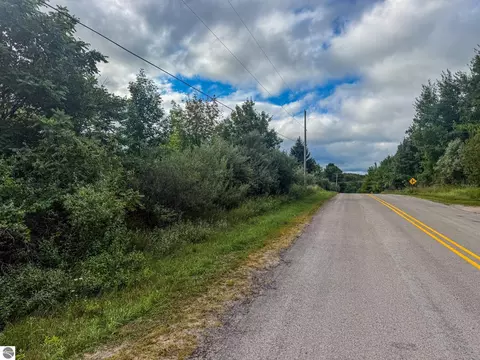 Parcel 4 E Darga Road, Cedar, MI 49621 photo 7