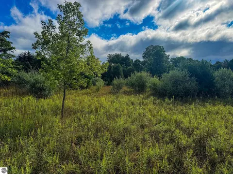 Parcel 4 E Darga Road, Cedar, MI 49621 photo 20