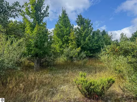 Parcel 4 E Darga Road, Cedar, MI 49621 photo 10
