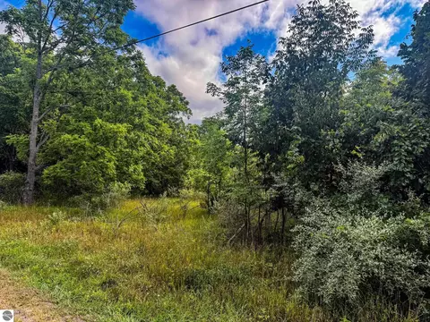 Parcel 4 E Darga Road, Cedar, MI 49621 photo 5