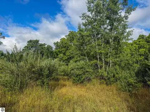 Parcel 4 E Darga Road, Cedar, MI 49621 photo 13