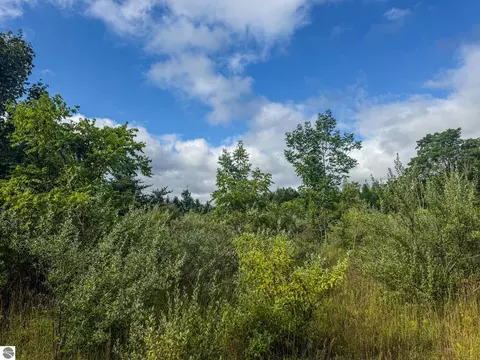 Parcel 4 E Darga Road, Cedar, MI 49621 photo 12
