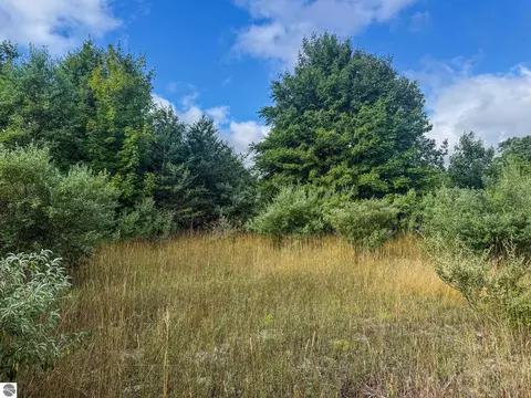 Parcel 4 E Darga Road, Cedar, MI 49621 photo 11