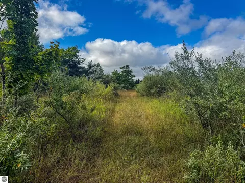 Parcel 4 E Darga Road, Cedar, MI 49621 photo 15