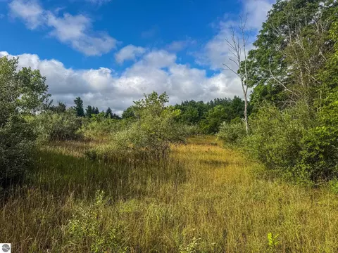 Parcel 4 E Darga Road, Cedar, MI 49621 photo 17