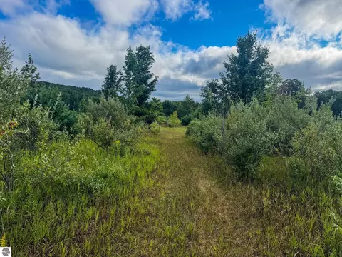 Parcel 4 E Darga Road, Cedar, MI 49621 photo 22