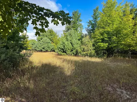 Parcel 2 E Darga Road, Cedar, MI 49621 photo 12