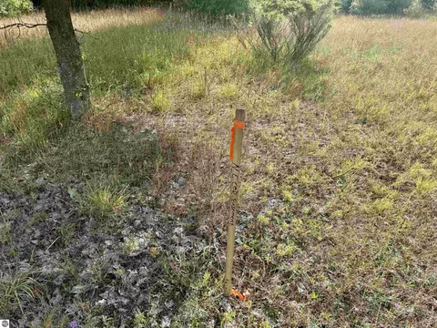 Parcel 2 E Darga Road, Cedar, MI 49621 photo 11