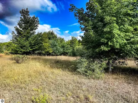 Parcel 2 E Darga Road, Cedar, MI 49621 photo 4