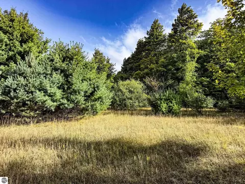 Parcel 2 E Darga Road, Cedar, MI 49621 photo 6
