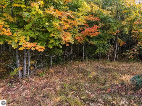 Parcel 2 E Darga Road, Cedar, MI 49621 photo 7