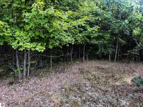 Parcel 2 E Darga Road, Cedar, MI 49621 photo 14