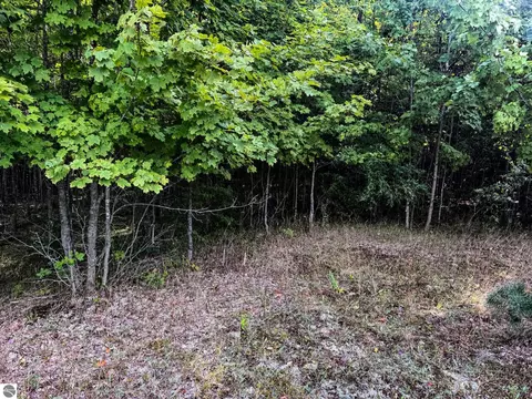 Parcel 2 E Darga Road, Cedar, MI 49621 photo 10