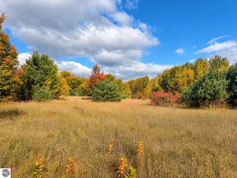 Parcel 2 E Darga Road, Cedar, MI 49621 photo 3