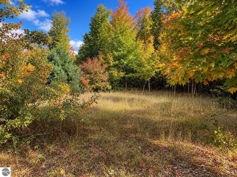 Parcel 2 E Darga Road, Cedar, MI 49621 photo 5