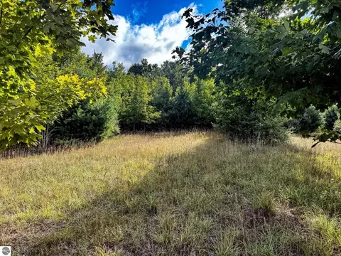 Parcel 2 E Darga Road, Cedar, MI 49621 photo 8