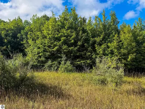Parcel 3 E Darga Road, Cedar, MI 49621 photo 10