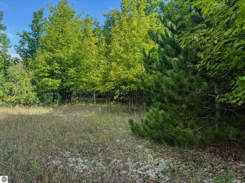 Parcel 3 E Darga Road, Cedar, MI 49621 photo 5