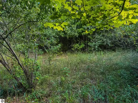 Parcel 3 E Darga Road, Cedar, MI 49621 photo 6