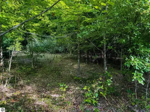 Parcel 3 E Darga Road, Cedar, MI 49621 photo 8