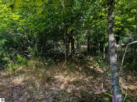Parcel 3 E Darga Road, Cedar, MI 49621 photo 7