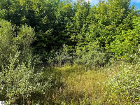 Parcel 3 E Darga Road, Cedar, MI 49621 photo 11