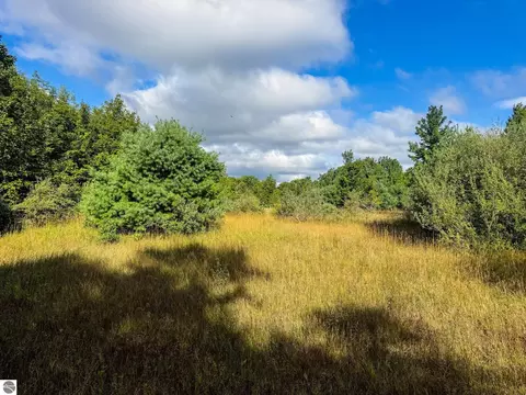 Parcel 3 E Darga Road, Cedar, MI 49621 photo 4